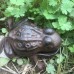 Cast Iron Geocache Creatures: Frog